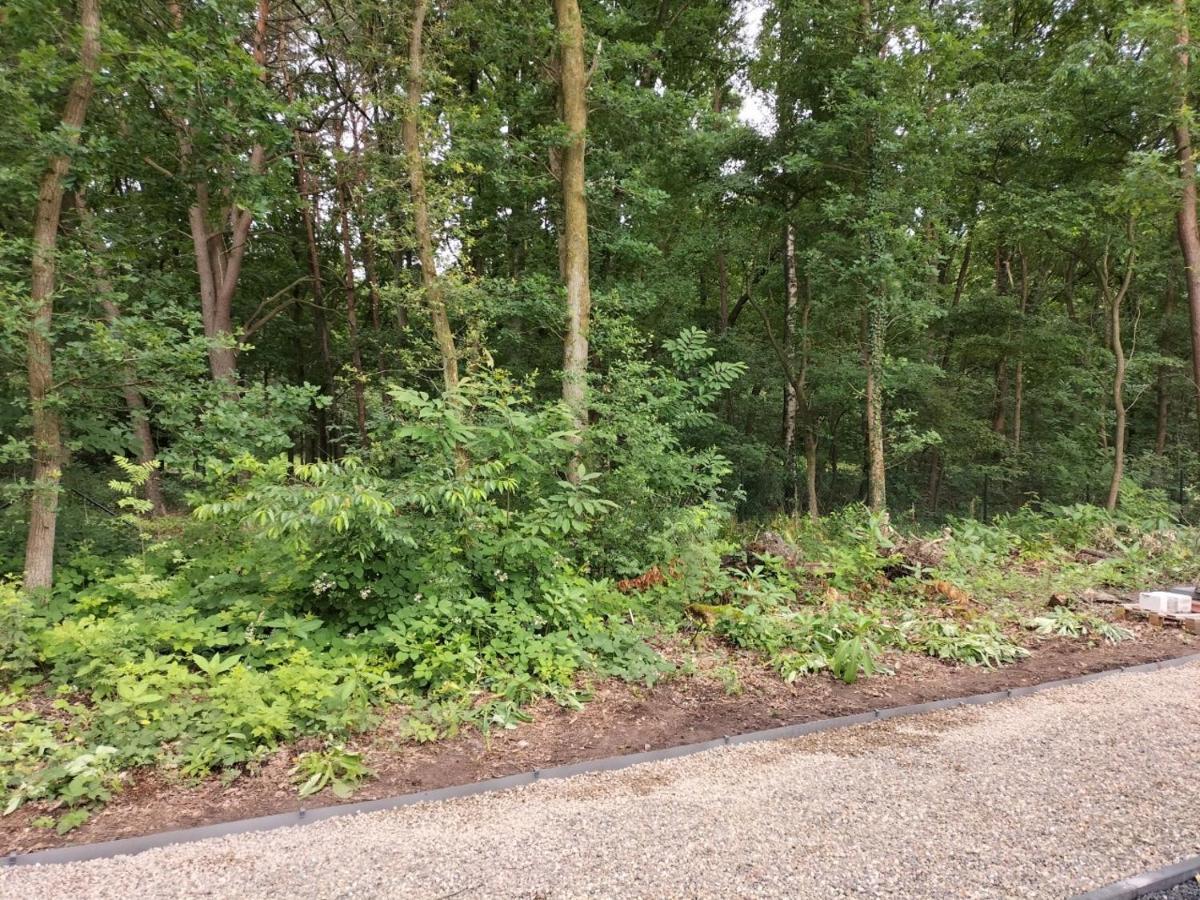 Theressa - Free Wifi En Netflix Zutendaal Exterior foto